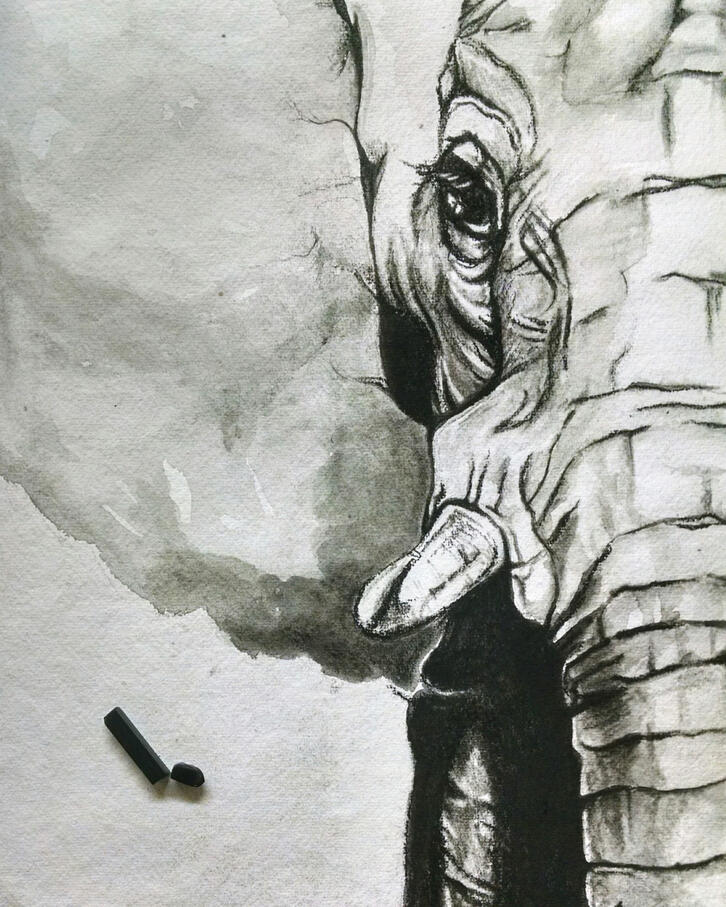 Watercolor + charcoal on paper